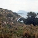 1969 - Namfi_21