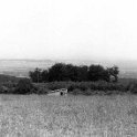 Rhoden D-site 7