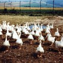 1976-CSite_02