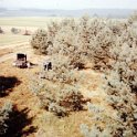 1976-CSite_35