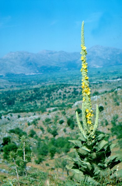 1977-Kreta-20