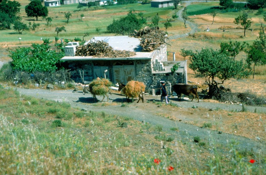 1977-Kreta-22