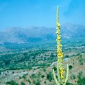 1977-Kreta-20