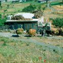 1977-Kreta-22