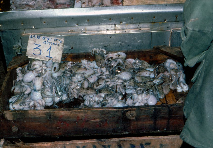 1978DelphiCruise-0002