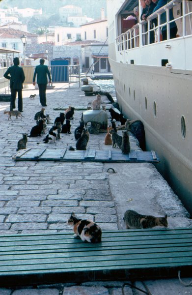 1978DelphiCruise-0013