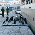 1978DelphiCruise-0013