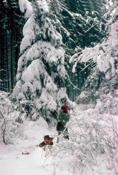 1979WinterEssentho0004