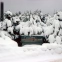 1979WinterEssentho0007