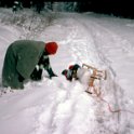 1979WinterEssentho0010
