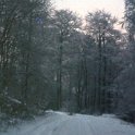 1984-Rhoden-1