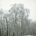 hiver1988-03