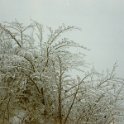 hiver1988-07