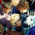 JMPfaff 1993 (30)